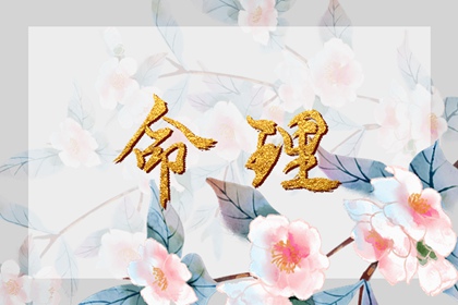 万年历日历黄历_万年历黄历老黄历_今日万年历查询